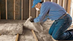 Best Wall Insulation Installation  in Bellevue, IA